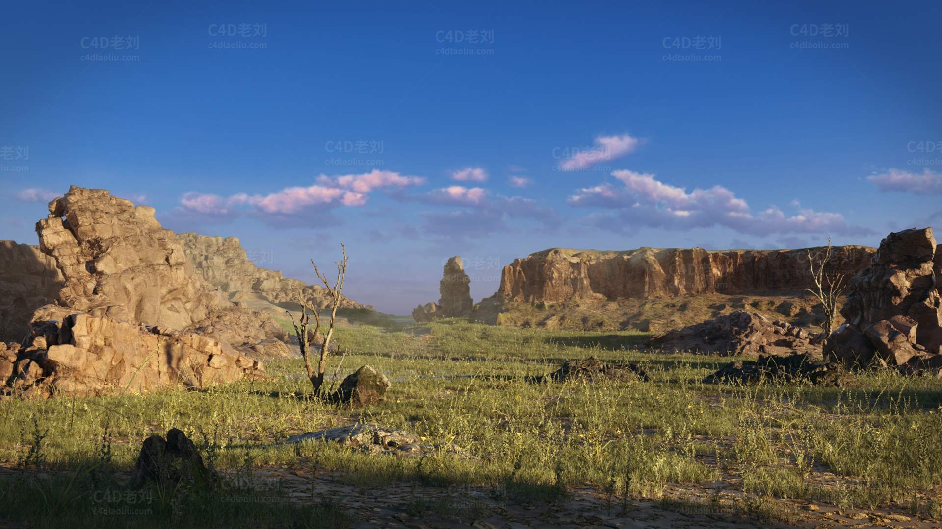 C4D145工程OC渲染-沙漠地形绿洲场景-灯光贴图材质齐全