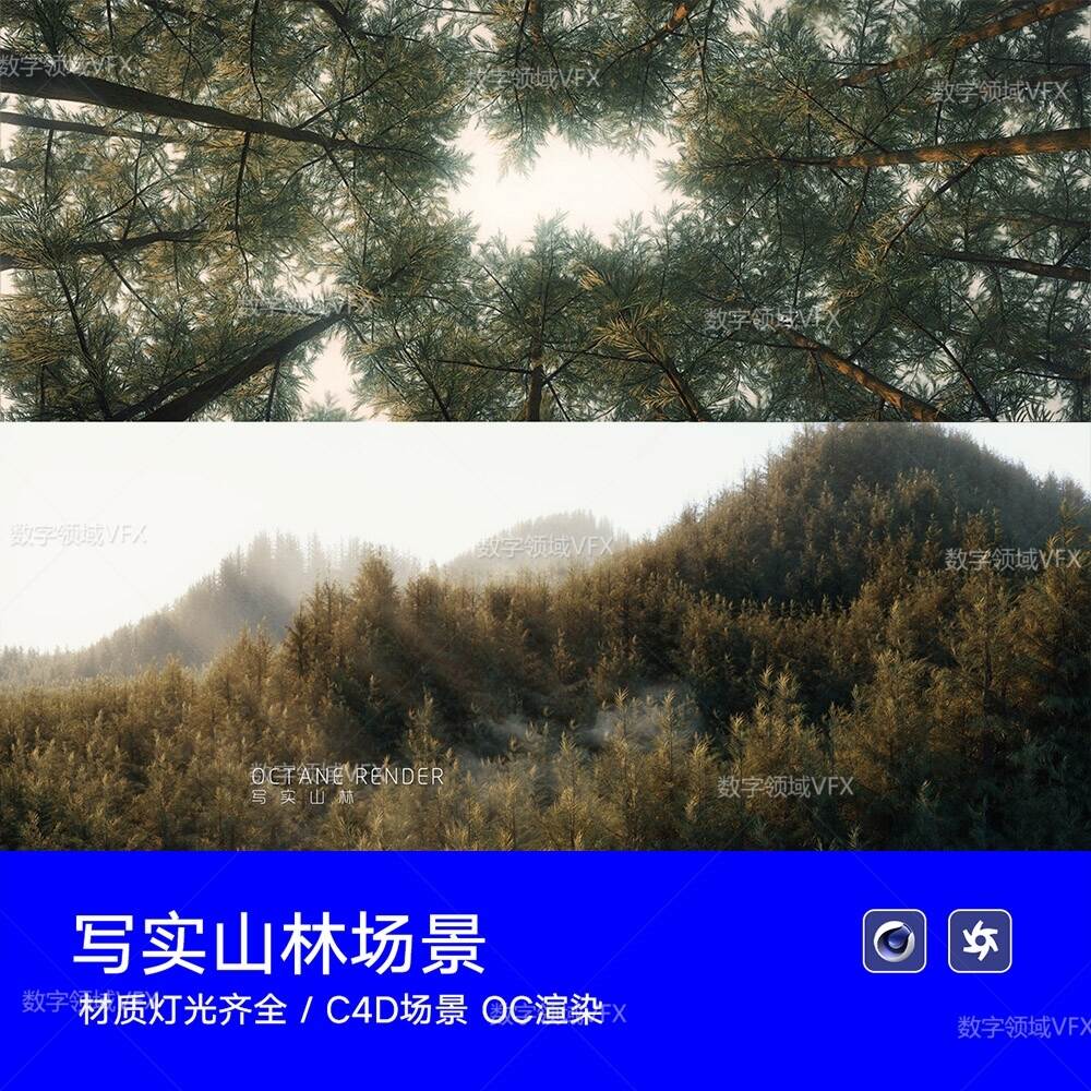 C4D140工程OC渲染-写实原始仰望森林鸟瞰山林丛林场景-灯光贴图材质齐全