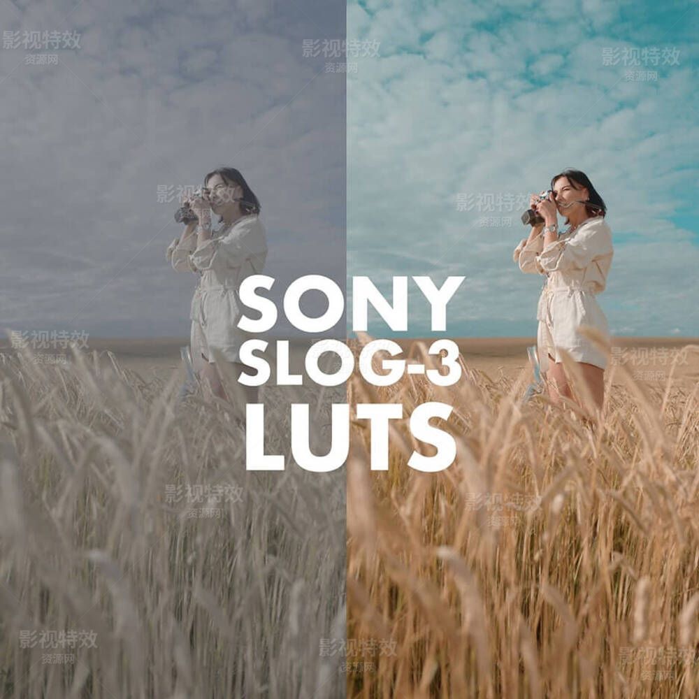 SONY SLOG 3电影风格还原人物肤色LUTs视频调色预设