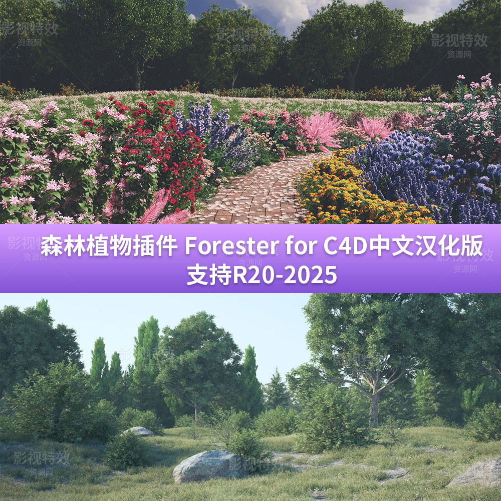 中文汉化版3DQUAKERS – Forester森林植物插件支持C4D 20-2025